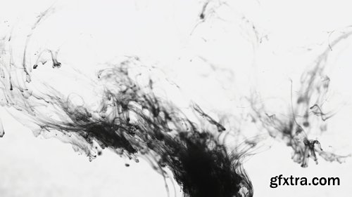 Black Paint on the White Background Doing Stains Because of Drop Into Water