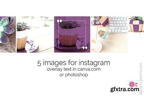 CM - Deep Purple Stock Bundle