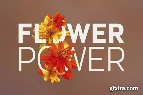 CM - Flower Power - Photos &amp; Graphics 696406