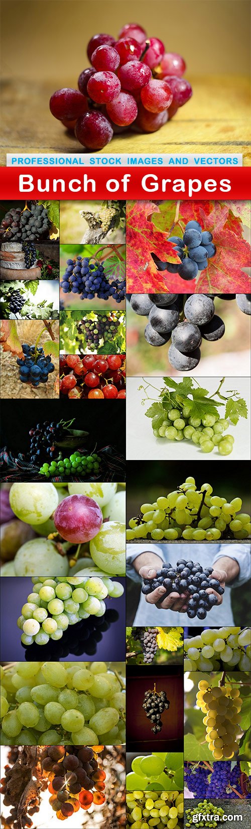 Bunch of Grapes - 27 UHQ JPEG