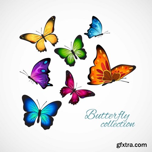 Collection of hand drawn butterfly colorful insect wing 25 EPS