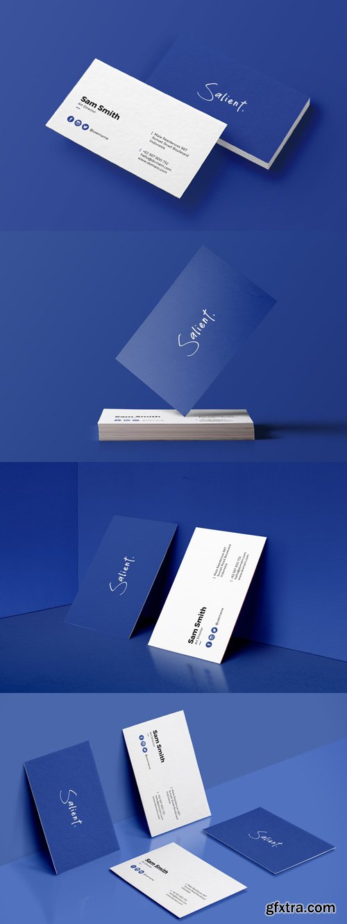 Salient - Minimal Business Card