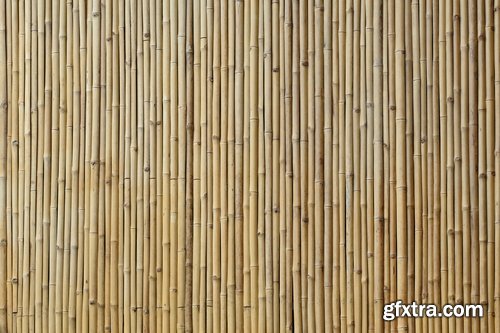 Collection bamboo cane thickets of the forest leaf stick 25 HQ Jpeg