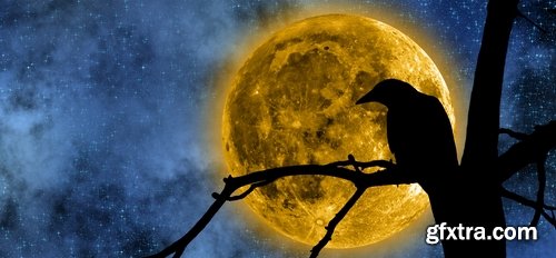 Collection moon planet space moon crater 25 HQ Jpeg