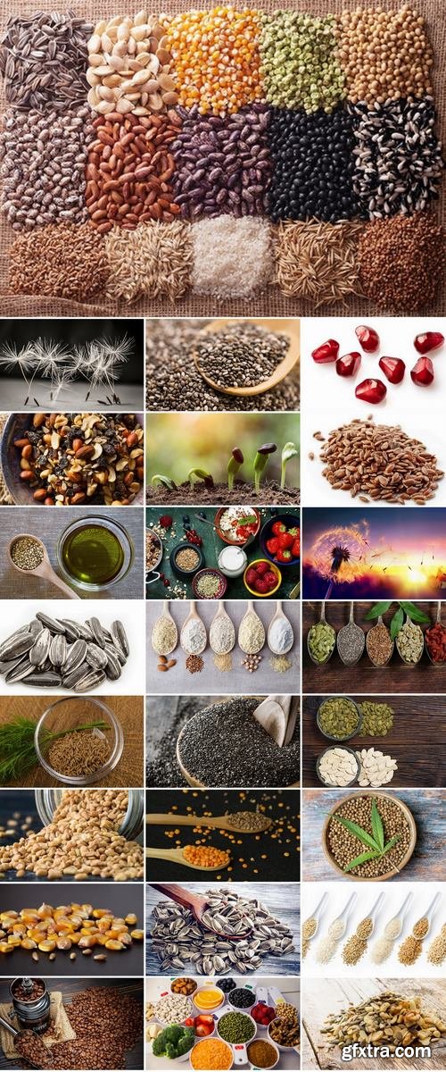 Collection of seeds seed nut oil 25 HQ Jpeg