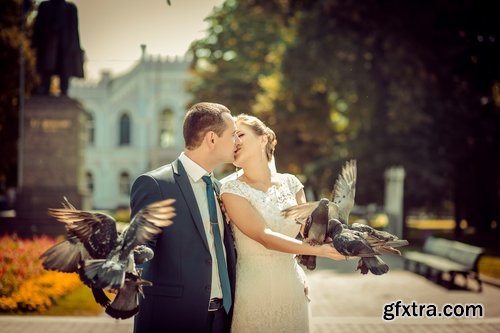 Collection of white dove feather wing 25 HQ Jpeg