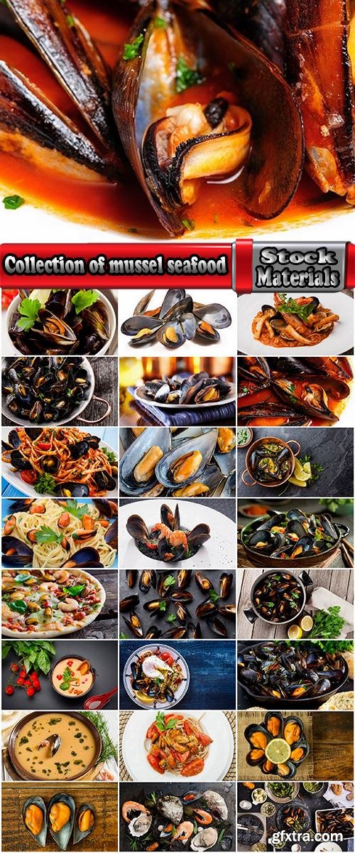 Collection of mussel seafood soup is a delicacy fried meat protein 25 HQ Jpeg