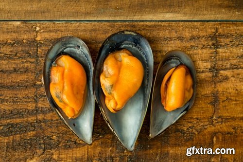 Collection of mussel seafood soup is a delicacy fried meat protein 25 HQ Jpeg