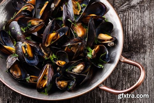 Collection of mussel seafood soup is a delicacy fried meat protein 25 HQ Jpeg