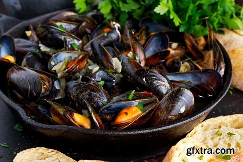 Collection of mussel seafood soup is a delicacy fried meat protein 25 HQ Jpeg