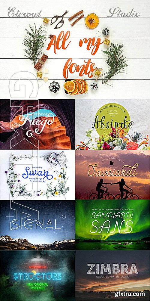 All My Fonts Bundle 1169455