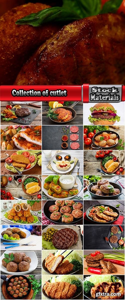 Collection of cutlet grilled meat chops in breadcrumbs 25 HQ Jpeg