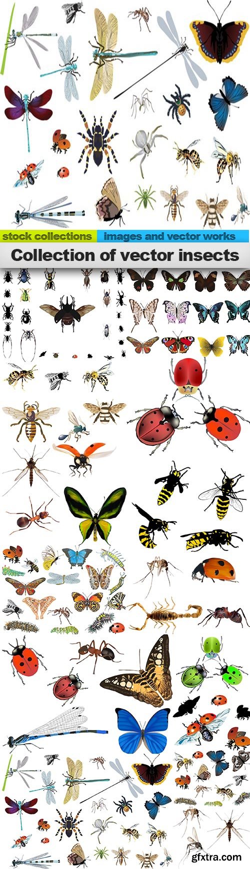Collection of vector insects, 15 x EPS