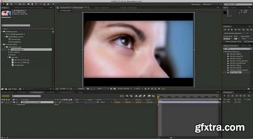 RevisionFX RE:Flex for After Effects 5.2.5 (Mac OS X)