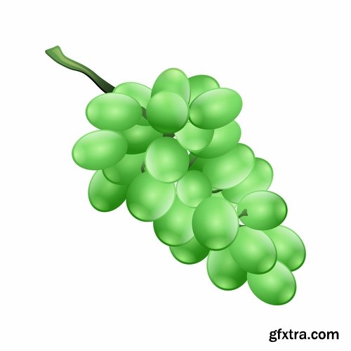 Collection of realistic icon picture food fruit meat milk bottle honey 25 EPS