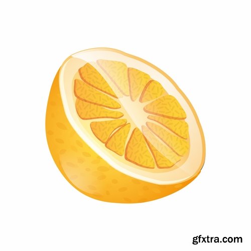 Collection of realistic icon picture food fruit meat milk bottle honey 25 EPS