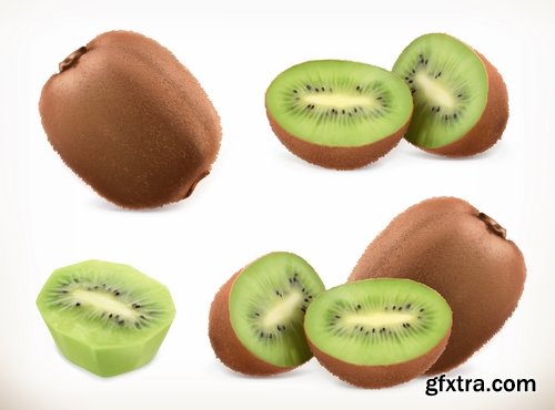 Collection of realistic illustration of vegetables fruits berries vector image 25 EPS