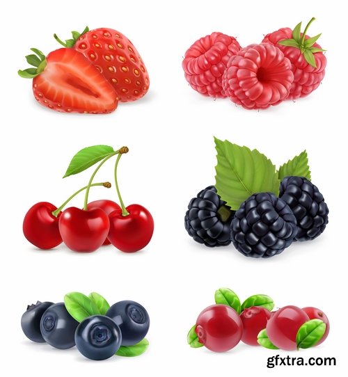 Collection of realistic illustration of vegetables fruits berries vector image 25 EPS