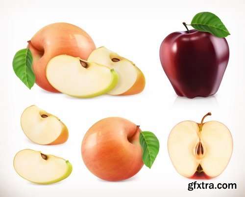 Collection of realistic illustration of vegetables fruits berries vector image 25 EPS