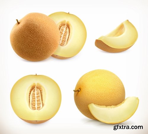 Collection of realistic illustration of vegetables fruits berries vector image 25 EPS