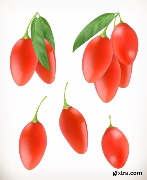 Collection of realistic illustration of vegetables fruits berries vector image 25 EPS