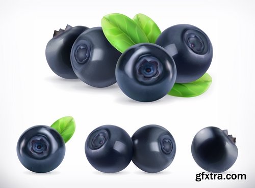 Collection of realistic illustration of vegetables fruits berries vector image 25 EPS