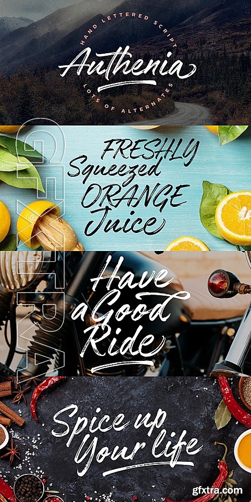 MF - Authenia - Webfont and Desktop font - 1 font: $29.00