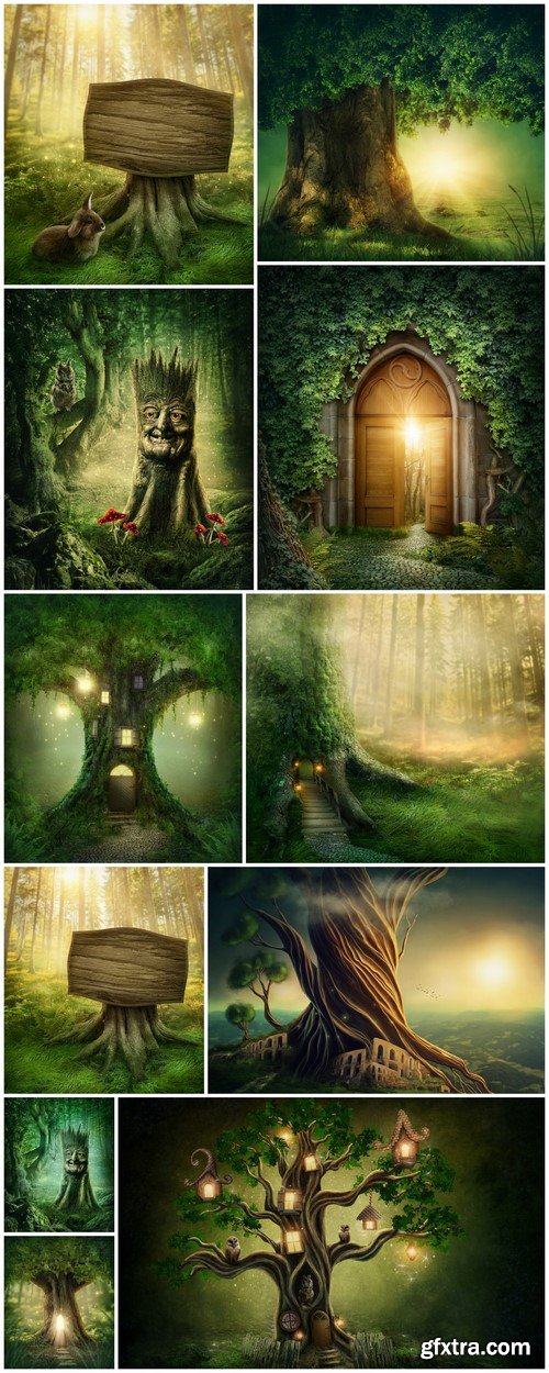 Enchanted dark forest 11X JPEG