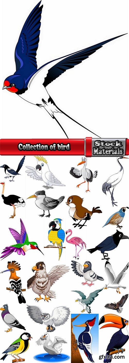Collection of bird dove eagle sparrow swan parrot 25 EPS