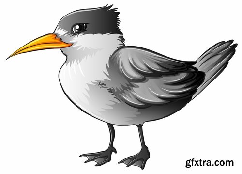 Collection of bird dove eagle sparrow swan parrot 25 EPS