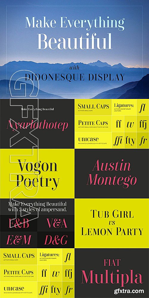 CM - Didonesque Display 1178002