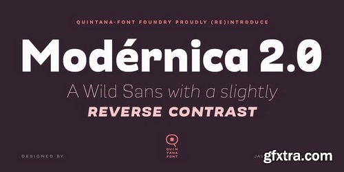 Modernica Font Family $351