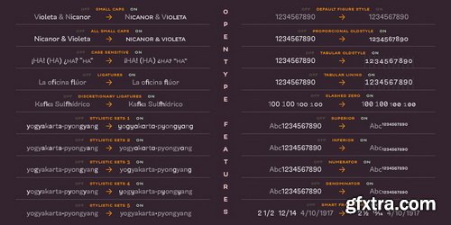 Modernica Font Family $351