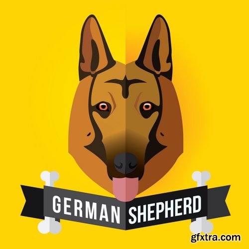 Collection of gift card postcard flyer banner with comic cartoon animal 25 EPS