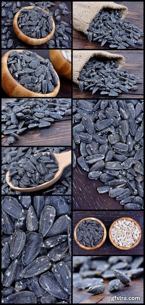 Background of black sunflower seeds 10X JPEG