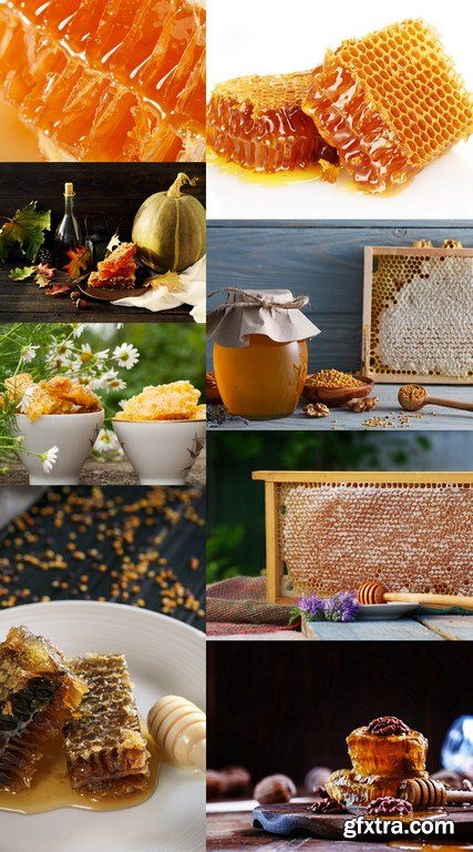 Sweet Honeycombs - 8 x JPEGs