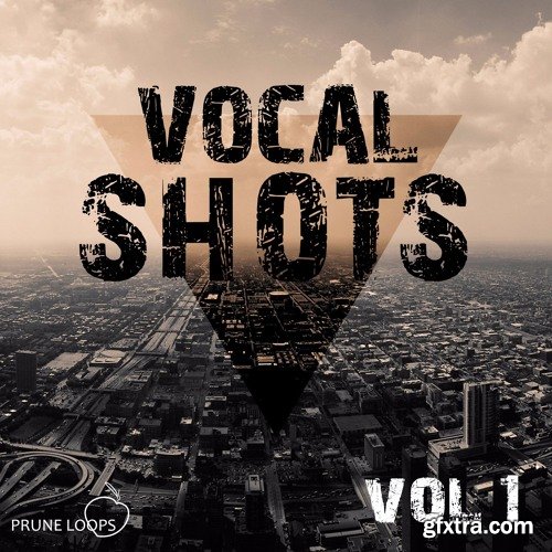 Prune Loops Vocals Shots Vol 1 WAV MiDi-FANTASTiC