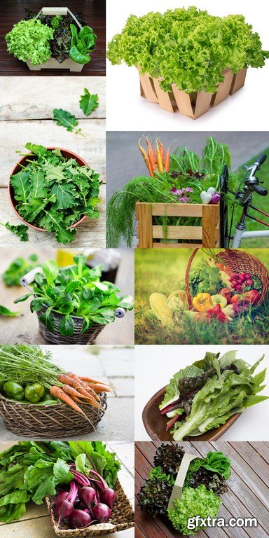 Salad Basket - 10 x JPEGs