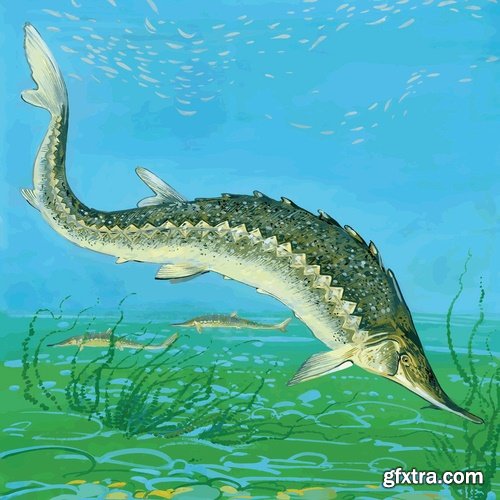 Collection of sturgeon fish icon flyer logo banner 25 EPS