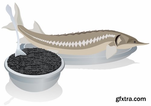 Collection of sturgeon fish icon flyer logo banner 25 EPS