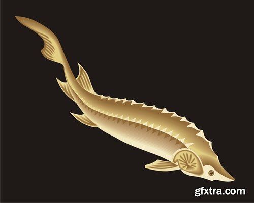 Collection of sturgeon fish icon flyer logo banner 25 EPS