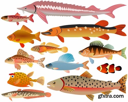 Collection of sturgeon fish icon flyer logo banner 25 EPS