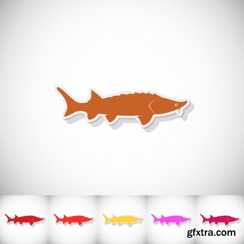 Collection of sturgeon fish icon flyer logo banner 25 EPS
