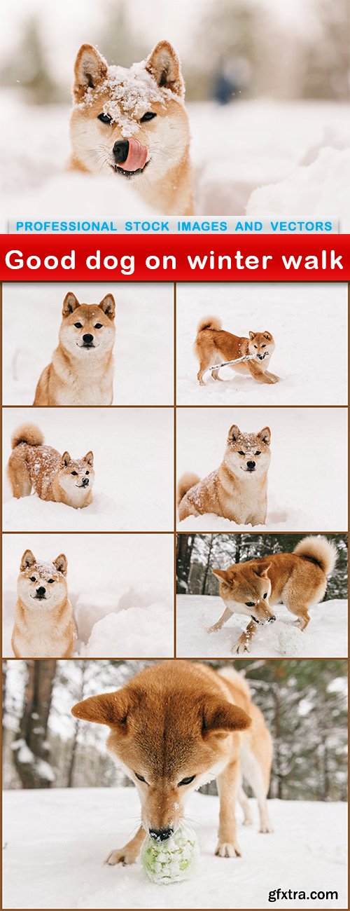 Good dog on winter walk - 8 UHQ JPEG