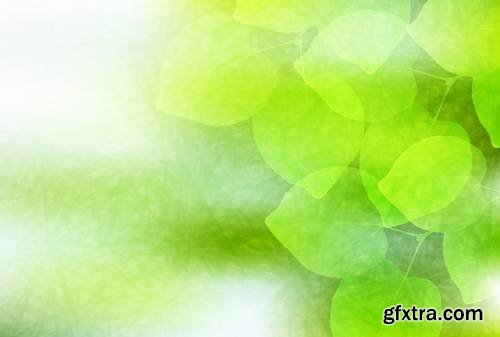 Green Leaves - Nature Background