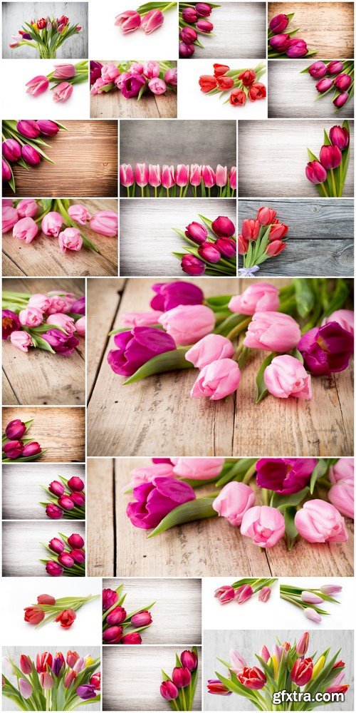 Flowers Tulips on a Wooden Background 27xJPG