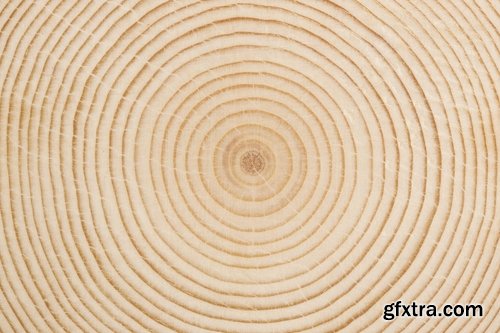 Collection sawmill production of wood a tree felling timber 2-25 HQ Jpeg