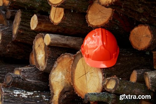 Collection sawmill production of wood a tree felling timber 2-25 HQ Jpeg