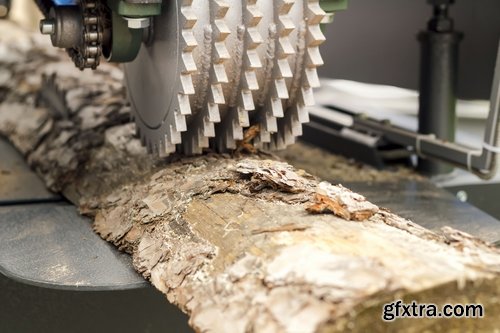 Collection sawmill production of wood a tree felling timber 2-25 HQ Jpeg