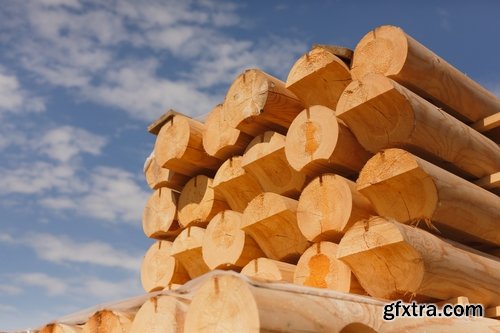 Collection sawmill production of wood a tree felling timber 2-25 HQ Jpeg